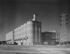 Perceptual Silos