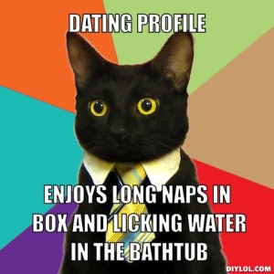 Cat dating profile